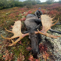 Renfros Alaskan Adventures
